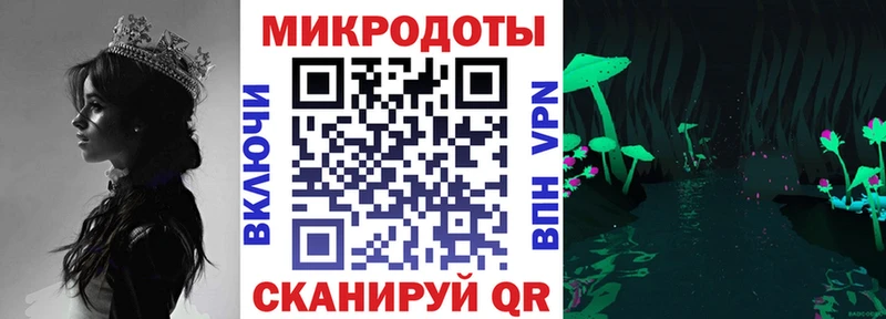 Галлюциногенные грибы Psilocybe  наркотики  Белая Холуница 